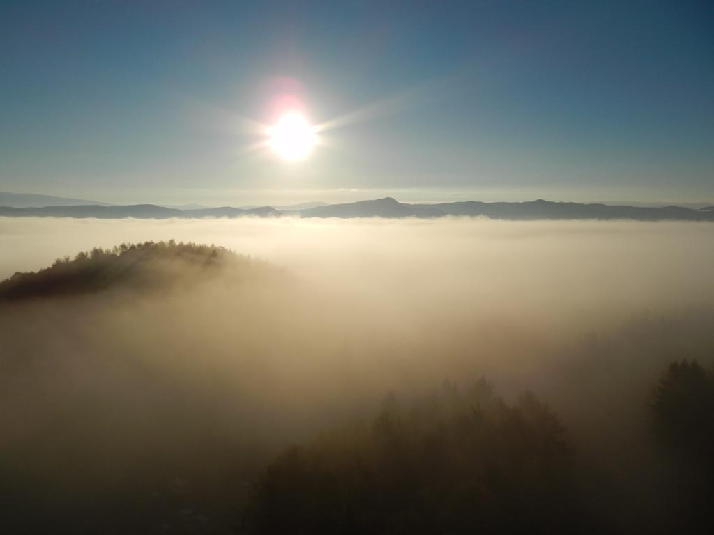 Shin Furano Prince Hotel Nakafurano Exterior foto Fog over the Black Forest